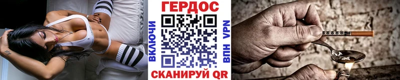 ГЕРОИН хмурый  Ельня 
