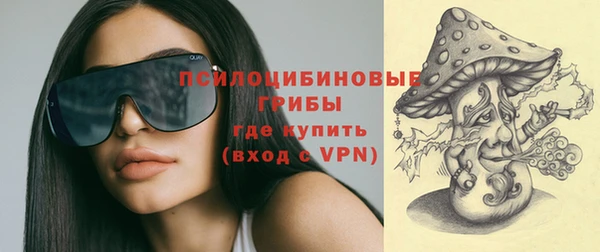PSILOCYBIN Алексеевка