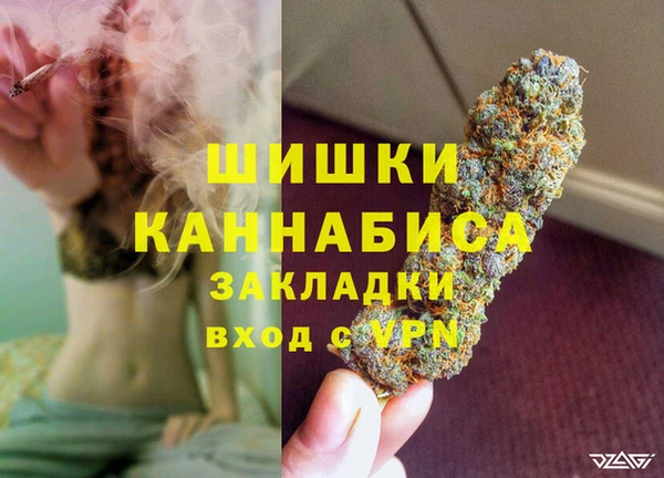 молекула духа Арсеньев