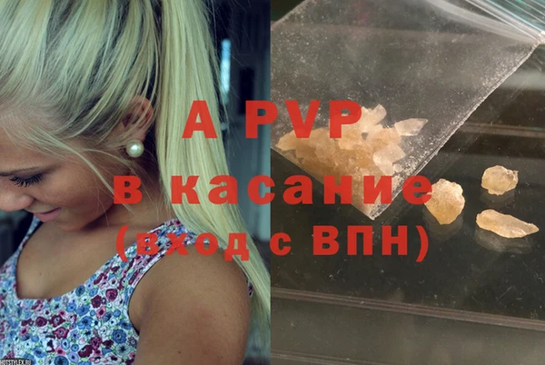 молекула духа Арсеньев