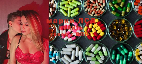 молекула духа Арсеньев