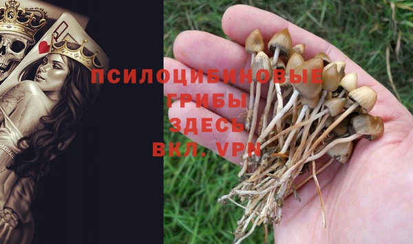 а пвп мука Алексин