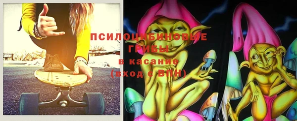 молекула духа Арсеньев