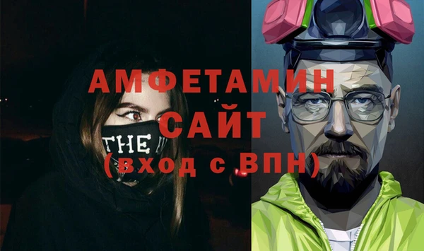 молекула духа Арсеньев