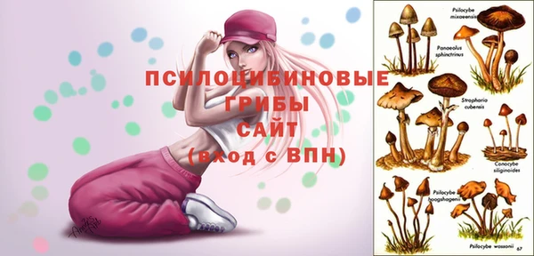 а пвп мука Алексин
